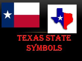 Texas State Symbols