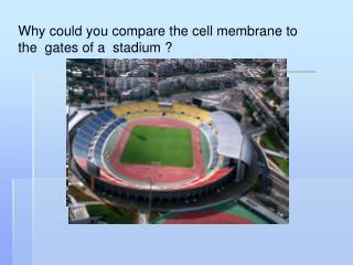 Why could you compare the cell membrane to the gates of a stadium ?