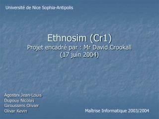 Ethnosim (Cr1) Projet encadré par : Mr David Crookall (17 juin 2004)