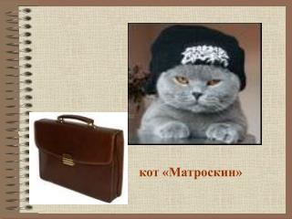 кот «Матроскин»