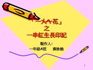 「一人一花」 之 一串紅生長印記