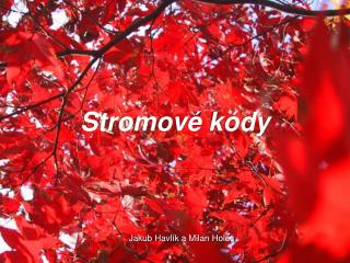 Stromové kódy