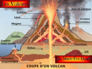 Les Volcans