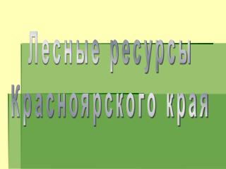 Лесные ресурсы Красноярского края