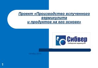 Проект «Производство вспученного вермикулита и продуктов на его основе»