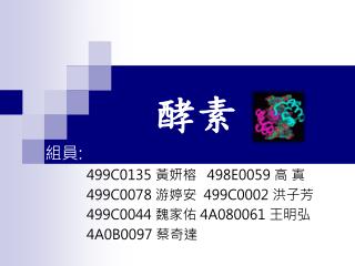 組員 : 499C0135 黃妍榕 498E0059  高 寘 499C0078 游婷安 499C0002 洪子芳 499C0044 魏家佑 4A080061 王明弘