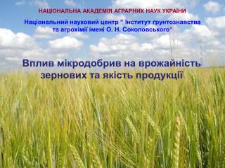 Національний науковий центр “ Інститут ґрунтознавства та агрохімії імені О. Н. Соколовського ”