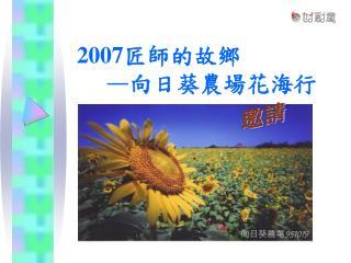 2007 匠師的故鄉 — 向日葵農場花海行