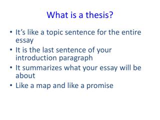 What is a thesis?