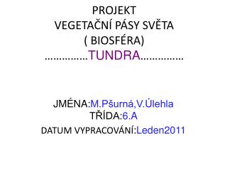 PROJEKT VEGETAČNÍ PÁSY SVĚTA ( BIOSFÉRA) …………… TUNDRA ……………