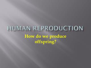 Human Reproduction