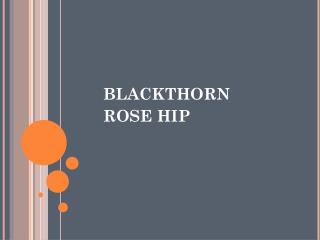 BLACKTHORN ROSE HIP