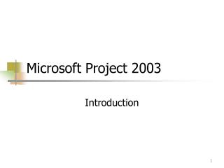 Microsoft Project 2003