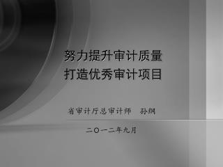 努力提升审计质量 打造优秀审计项目