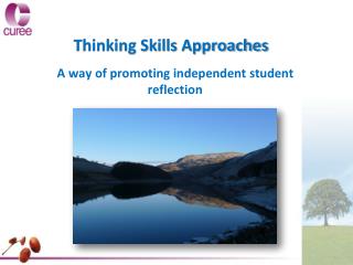 Thinking Skills Approaches