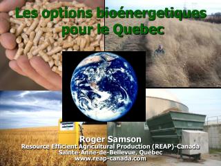 Les options bioénergetiques pour le Quebec