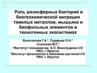Белоголова Г.А. 1 , Гордеева О.Н. 1 Соколова М.Г. 2