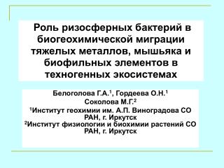 Белоголова Г.А. 1 , Гордеева О.Н. 1 Соколова М.Г. 2