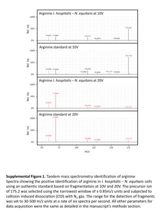 Supplemental Figure 1. Tandem m ass s pectrometry identification of arginine