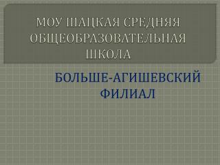 МОУ ШАЦКАЯ СРЕДНЯЯ ОБЩЕОБРАЗОВАТЕЛЬНАЯ ШКОЛА