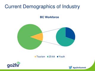 Current Demographics of Industry