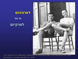 דארווינזם