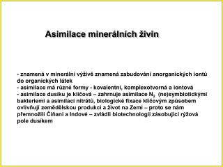 Asimilace minerálních živin