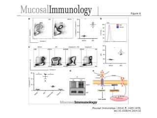 Mucosal Immunology (2014) 7 , 1429-1439; doi:10.1038/mi.2014.32
