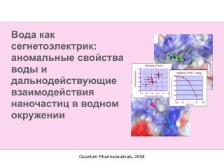 Quantum Pharmaceuticals, 2008