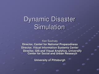 Dynamic Disaster Simulation