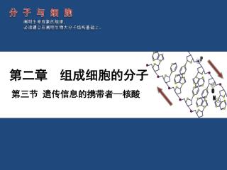 第二章 组成细胞的分子