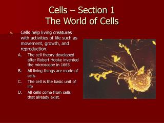 Cells – Section 1 The World of Cells
