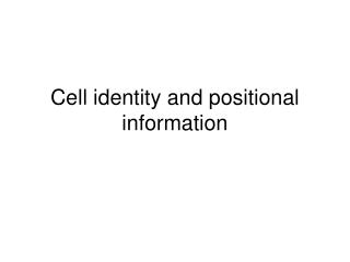 Cell identity and positional information