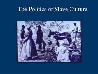 The Politics of Slave Culture