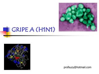 GRIPE A (H1N1)