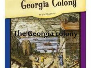 The Georgia colony