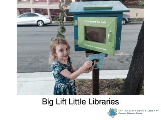 Big Lift Little Libraries