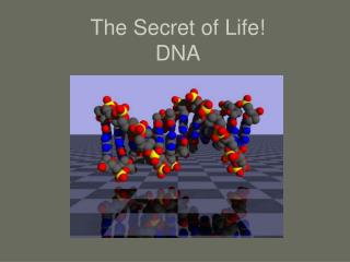 The Secret of Life! DNA