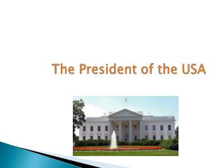 The President of the USA