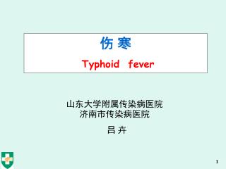 伤 寒 Typhoid fever