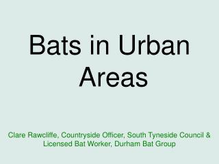 Bats in Urban Areas