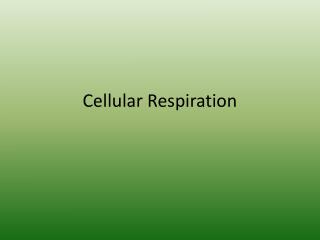 Cellular Respiration