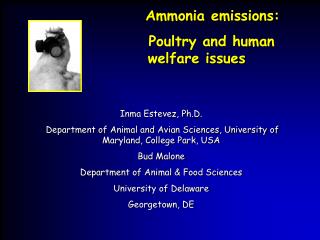 Ammonia emissions: 		 		Poultry and human 			welfare issues