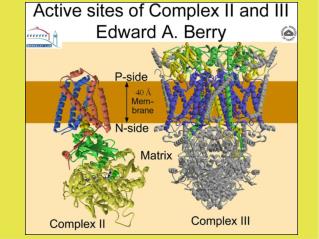 &quot;Malate-like ligand&quot; TEO (tp2-2803L, 2Fo-Fc contoured 2.0 sigma)
