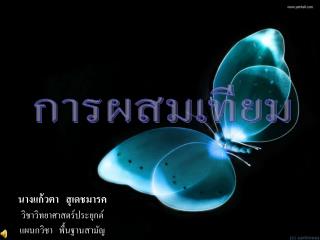 การผสมเทียม