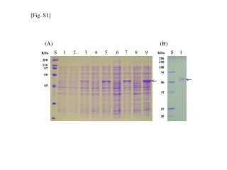[Fig. S1]