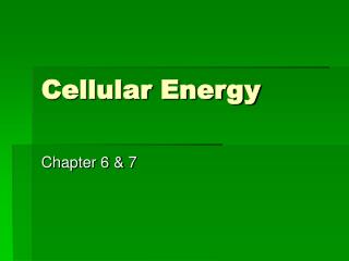 Cellular Energy