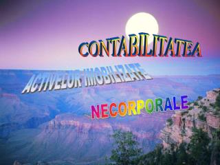 CONTABILITATEA