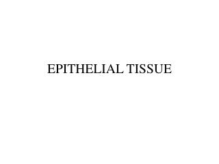 EPITHELIAL TISSUE