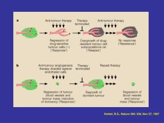 Kerbel, R.S., Nature 390: 336, Nov 27, 1997
